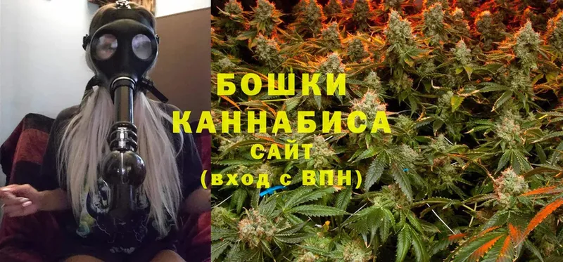 Бошки марихуана THC 21%  площадка формула  Электросталь 